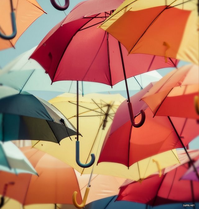 中国是世界上发明伞最早的国家，伞是劳动人民的一个重要的发明能够创造，不论是一国之主还是黎民百姓都会用到它，可以说伞与我们的生活息息相关。箱庭中出现的伞的象征意义包含着保护和准备的意思。